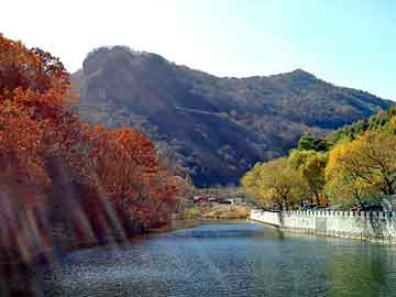 新澳天天开奖资料大全旅游团，穿越小说完结免费